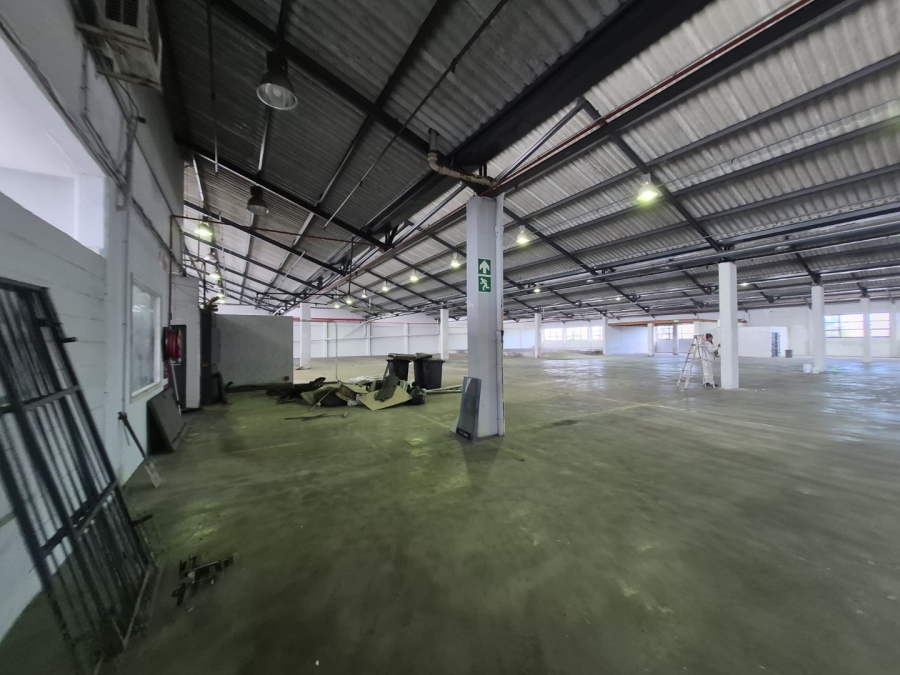 To Let Commercial Property for Rent in Paarden Eiland Western Cape